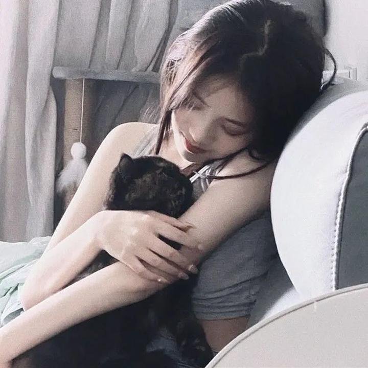 卫星女孩和奶牛
